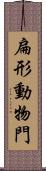 扁形動物門 Scroll