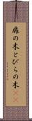 扉の木 Scroll