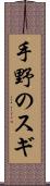 手野のスギ Scroll
