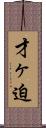 才ヶ迫 Scroll