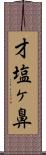 才塩ヶ鼻 Scroll