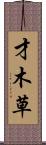 才木草 Scroll
