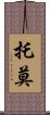 Tomo Scroll