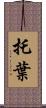 托葉 Scroll