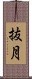 抜月 Scroll