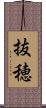 抜穂 Scroll