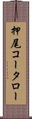 押尾コータロー Scroll