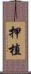 押植 Scroll