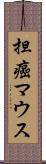 担癌マウス Scroll