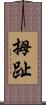 拇趾 Scroll