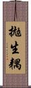 拋生耦 Scroll