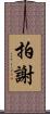 拍謝 Scroll