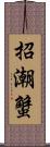 招潮蟹 Scroll