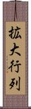 拡大行列 Scroll