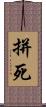 拼死 Scroll