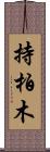 持柏木 Scroll