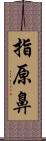 指原鼻 Scroll