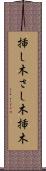 挿し木 Scroll