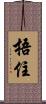 捂住 Scroll