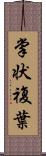 掌状複葉 Scroll