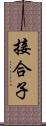 接合子 Scroll