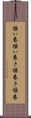 掻い巻 Scroll