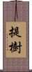 提樹 Scroll