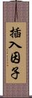 插入因子 Scroll