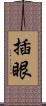 插眼 Scroll