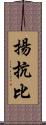 揚抗比 Scroll