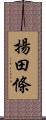 揚田條 Scroll