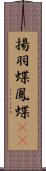揚羽蝶 Scroll