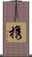 携 Scroll