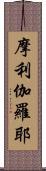 摩利伽羅耶 Scroll