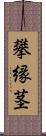 攀縁茎 Scroll