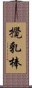 攪乳棒 Scroll