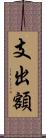 支出額 Scroll