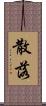 散落 Scroll