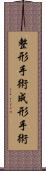 整形手術 Scroll