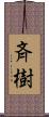 斉樹 Scroll