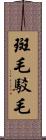 斑毛;駁毛 Scroll