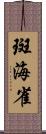 斑海雀 Scroll