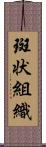 斑状組織 Scroll