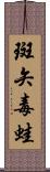 斑矢毒蛙 Scroll