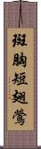 斑胸短翅鶯 Scroll