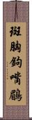 斑胸鉤嘴鶥 Scroll