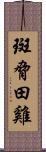 斑脅田雞 Scroll