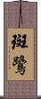 斑鷺 Scroll