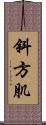 斜方肌 Scroll