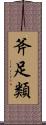 斧足類 Scroll